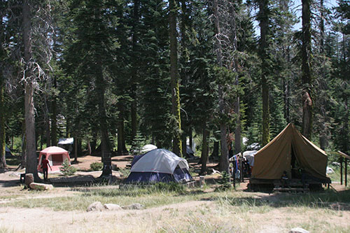 Camp Location